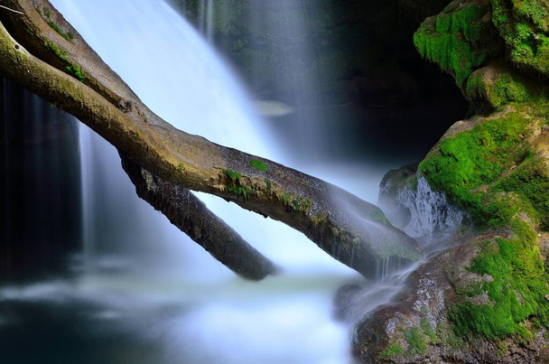 バイオアガ深い森の滝の閉鎖 - 写真・画像