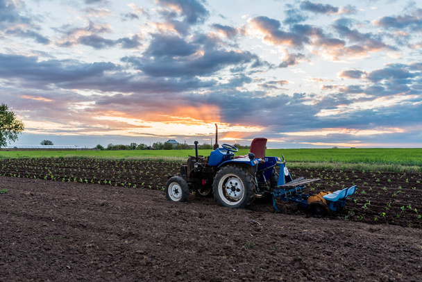 tracteur au milieu d'un champ au coucher du soleil paysage rural close-up - Photo, image