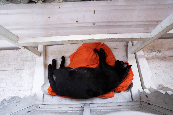 Von oben betrachtet schläft die schwarze Raubkatze auf dem orangefarbenen Tuch. - Foto, Bild