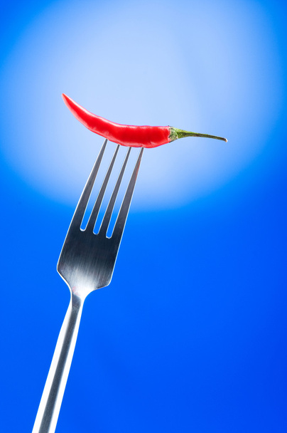 Hot pepper on the fork against colour background - Photo, Image
