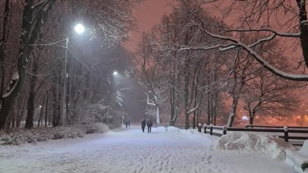 Panoramic winter landscape with pink sunset sky. - Footage, Video