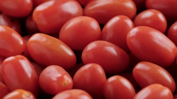 Pomidory wiśniowe, obrotowe wideo - Materiał filmowy, wideo