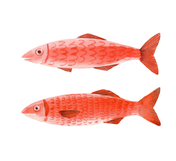 Beautiful set with cute watercolor fish. Stock design illustration. - Фото, зображення