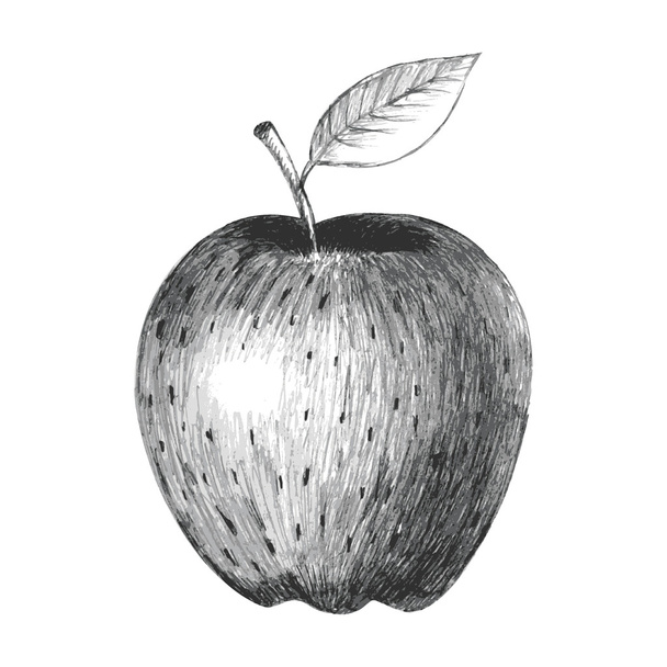 ein Apfel - Vektor, Bild