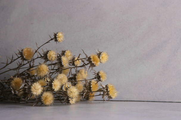 Dried flowers against concrete wall. Dried wild flowers indoor in winter time with copy space. - Foto, Bild