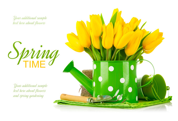 fleurs de printemps en arrosoir avec outils de jardin - Photo, image