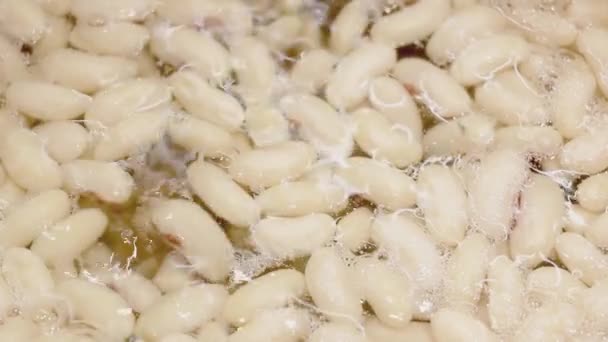 White beans are boiled in a saucepan. - Footage, Video