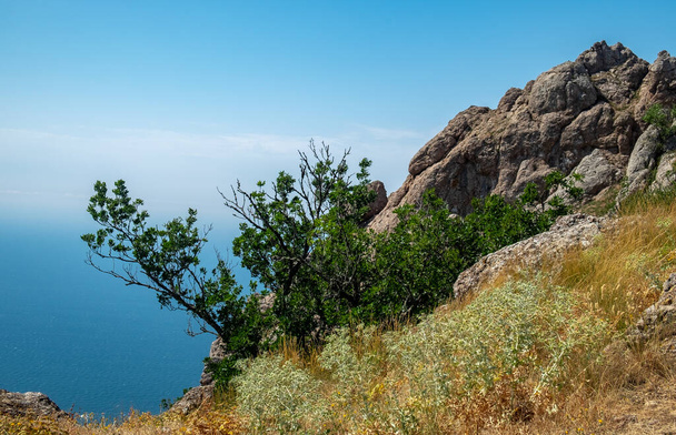 Mediterranean landscape. Forested rocks of the Black Sea coast of the southern coast of the Crimean Peninsula on a clear sunny day. - Fotó, kép