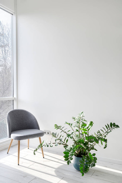 Pionowy widok na szary wygodny fotel stojący na drewnianej podłodze w pobliżu okna i zielonej rośliny. Elementy salonu z nowoczesnym wyposażeniem i wystrojem wnętrz - Zdjęcie, obraz