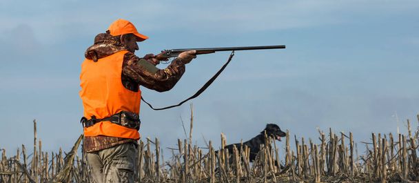 Um caçador com uma arma nas mãos em roupas de caça na floresta de outono em busca de um troféu. Um homem está com armas e cães de caça rastreando o jogo. - Foto, Imagem