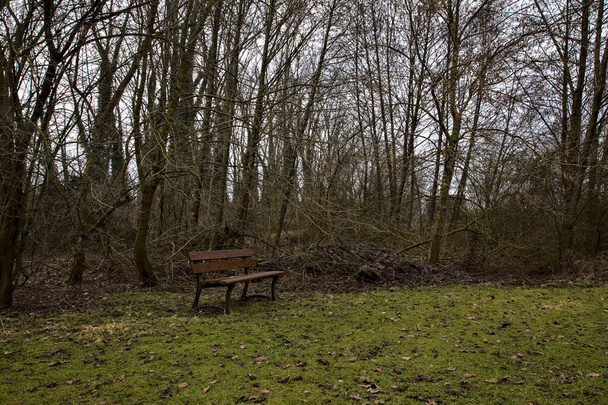 Дерев "яна лавка в парку в італійській сільській місцевості взимку. - Фото, зображення