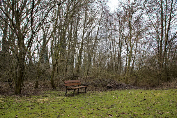 Banco de madera en un parque en el campo italiano en invierno - Foto, imagen