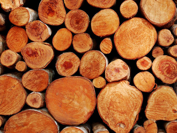 wall of wood stump background - Photo, Image