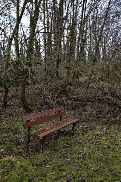 Wooden bench in a park in the italian countryside in winter - Photo, Image