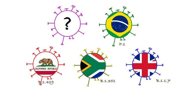 mutations ou variantes du virus corona brésilien, anglais, sud-africain et californien, et un inconnu . - Photo, image