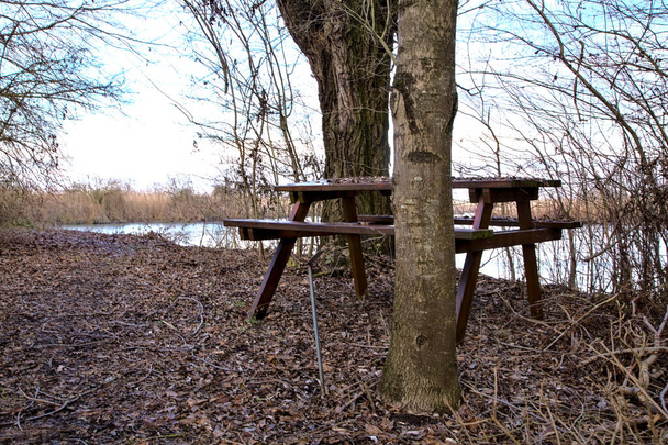 Порожні лавки для пікніка поруч з бухтою води в парку
 - Фото, зображення