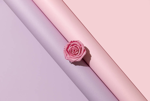 Rosa Rose Blume auf rosa und lila Papierrollen diagonal platziert. Kreatives Hintergrundkonzept zum Valentinstag. - Foto, Bild