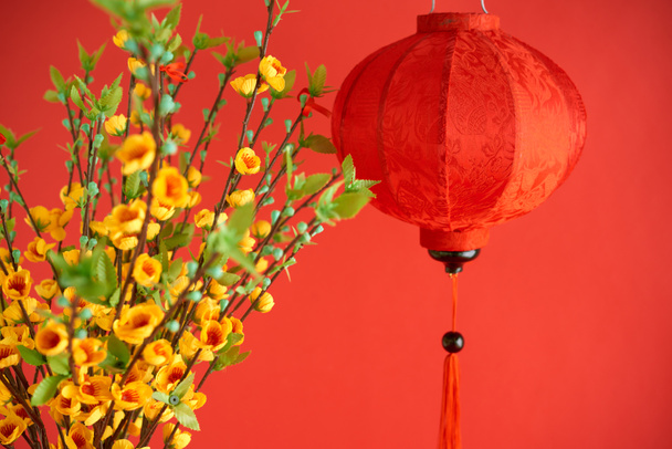 Red silk Vietnamese lantern and blooming branches of apricot tree as decorations for spring festival - Photo, Image