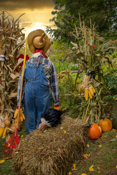 Seasonal Garden Scarecrow standing watch in the autumn harvest - Photo, Image