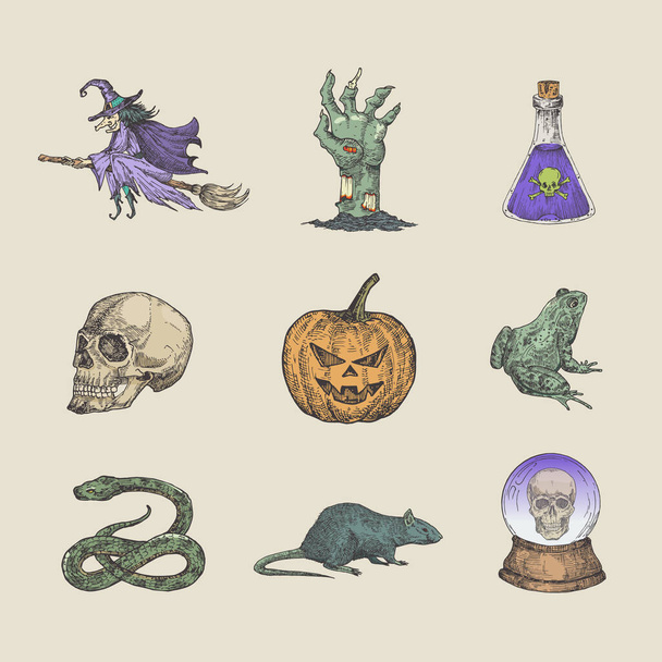 Retro Style Halloween Illustrations Collection. Hand Drawn Witch on Broom, Zombie Arm, Scull, Magic Ball, and Reptiles Sketch Symbols or Icons Set. Autumn Season Holiday Emblems Bundle. - Vektor, kép