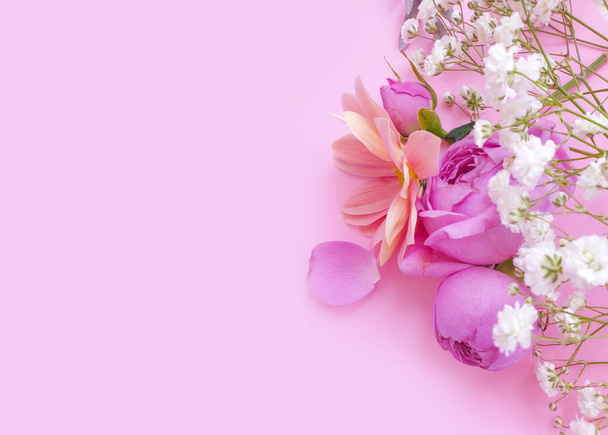 rosa flor sobre fondo de color - Foto, Imagen