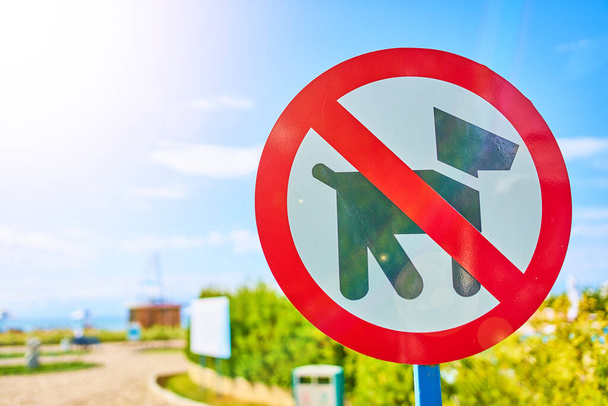 Il divieto di camminare dei cuccioli. - Foto, immagini