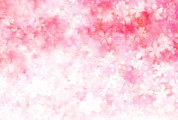 Cherry blossom spring flower background - Vector, Image