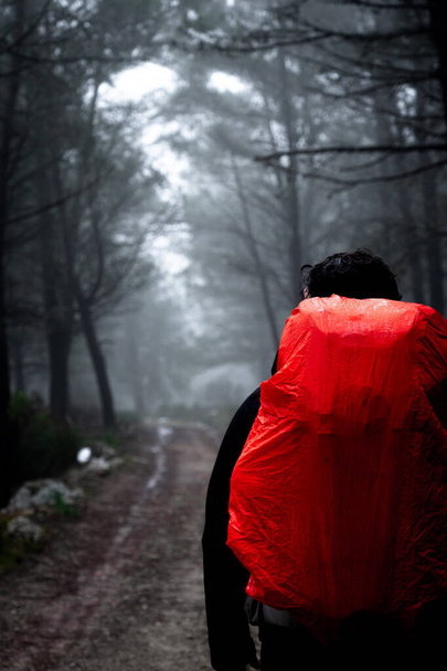 Man from behind walking down a foggy mountain path, dark landscape - Photo, Image
