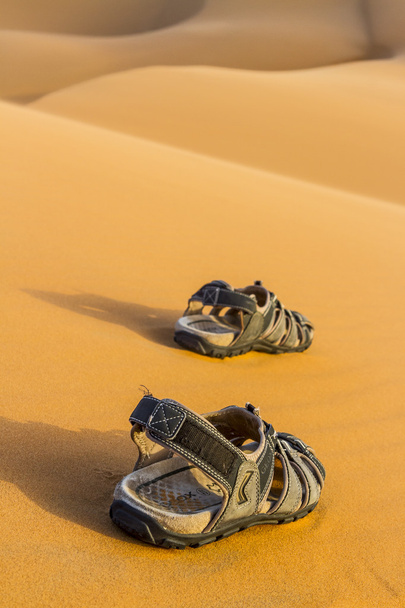 Deserto de areia
 - Foto, Imagem