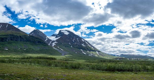 Beautiful flowerbed plains and Akka Mountain Massif in Swedish Big Lake National park North of Arctic Circle in Lapland, Sweden. - Photo, Image
