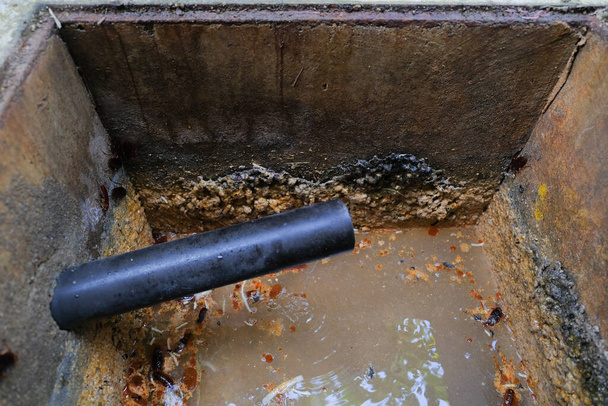 Pracovník vyčistí ucpanou kanalizaci pomocí odstraňovače kanalizace - Fotografie, Obrázek