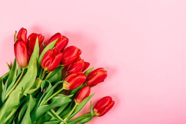Banner com buquê de tulipa vermelha exuberante em fundo rosa com espaço de cópia, lugar de texto. Layout para publicidade loja de flores. Feliz Dia dos Namorados. Apaixone-se. Minimalismo. Belo certificado de presente. - Foto, Imagem