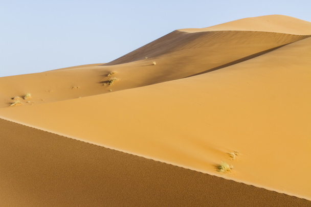desierto de arena
 - Foto, Imagen