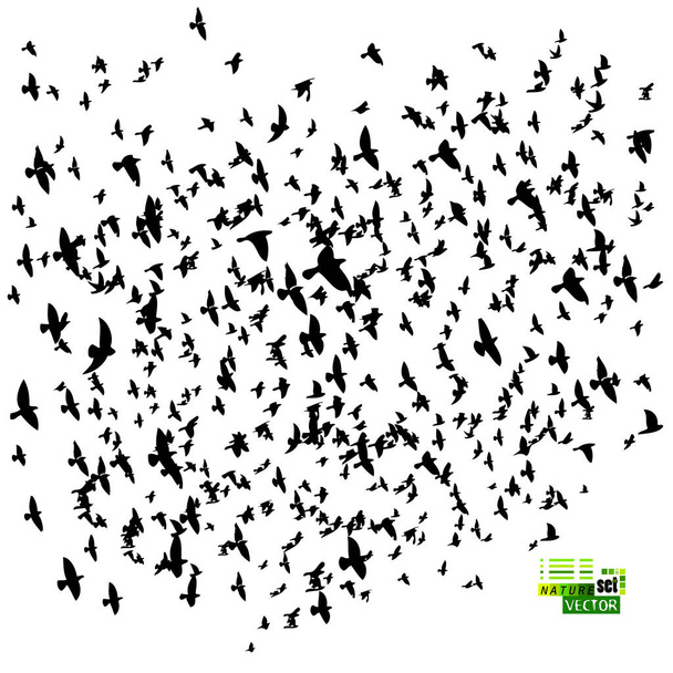 Um grande bando de pássaros voadores. Ilustração vetorial - Vetor, Imagem