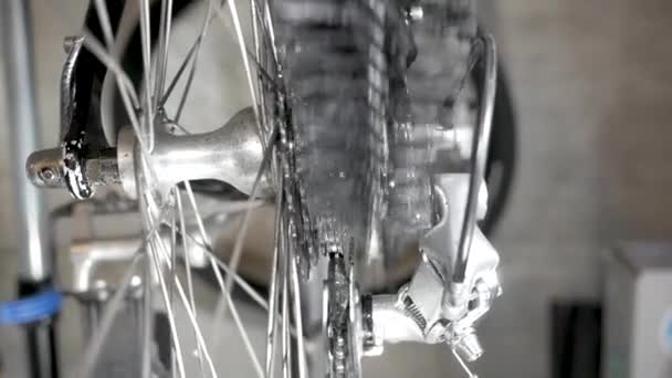 Maitenance de bicicleta, limpando as rodas dentadas da cassete com escova - Filmagem, Vídeo