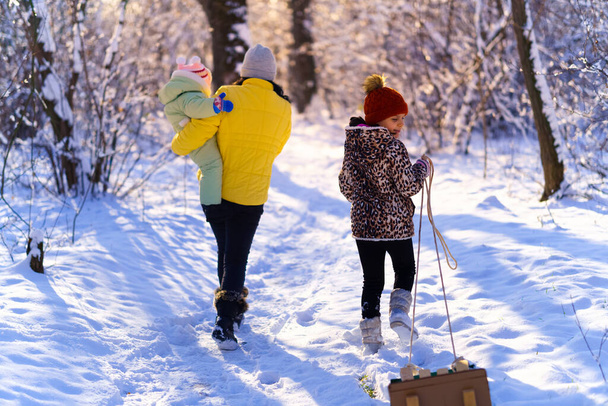семейные прогулки в зимнем лесу, мать и дети, яркий солнечный свет и тени на снегу, красивая природа. - Фото, изображение