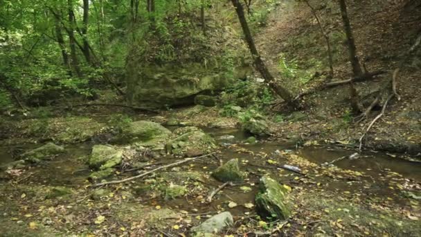 Grarbage dumps in the forest of Bechirs Creek near Soroca, Moldova - Footage, Video