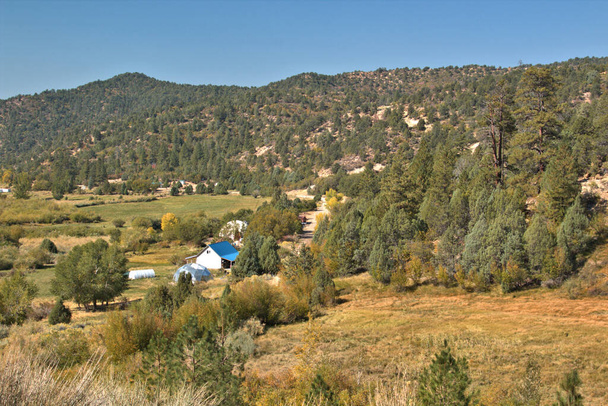 Ранчо Юта с зелеными соснами на заднем плане с зеленой крышей сарая - Фото, изображение