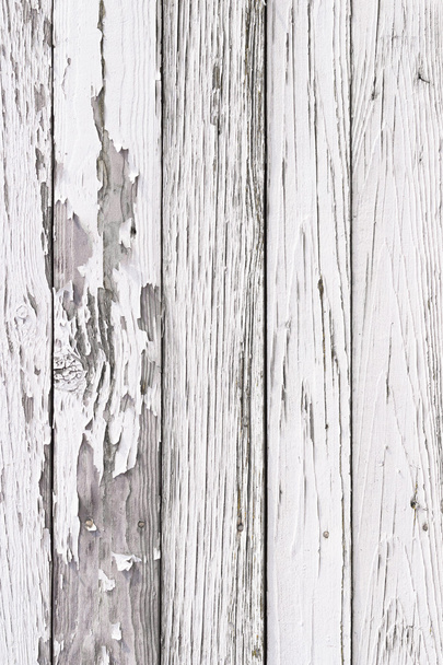 a fehér fa természetes minták háttér textúra - Fotó, kép