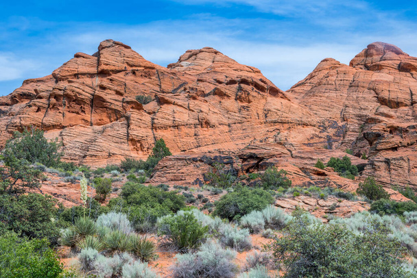 An overlooking view of nature in Snow Canyon State Park, Utah - Photo, Image