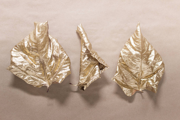 Amarillo dorado seco envuelto laminado hojas de otoño sobre fondo de papel artesanal. - Foto, imagen