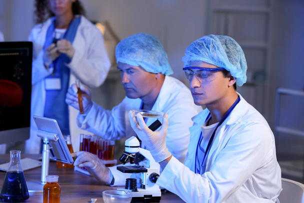 Vědci pracující se vzorky v laboratoři - Fotografie, Obrázek