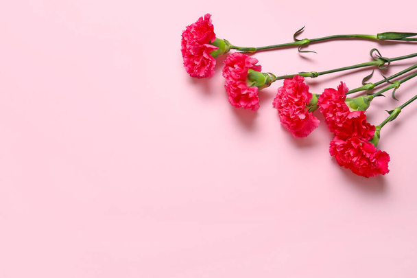 Beautiful carnation flowers on color background - Fotografie, Obrázek