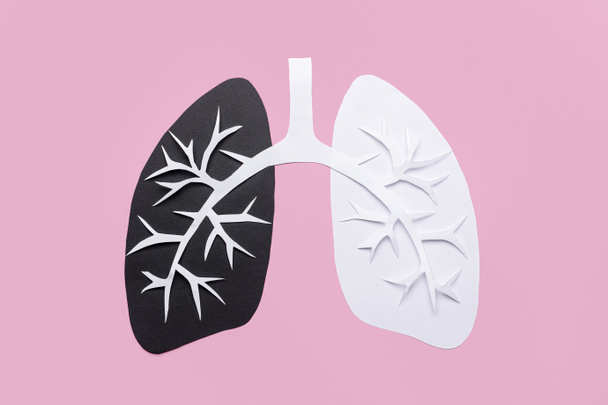 Ill and healthy lungs made of paper on color background - Zdjęcie, obraz