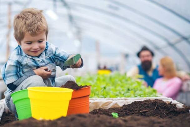 Smiling child soil and filling pots with ground. Baby playing with spade in greenhouse while parent. - Φωτογραφία, εικόνα