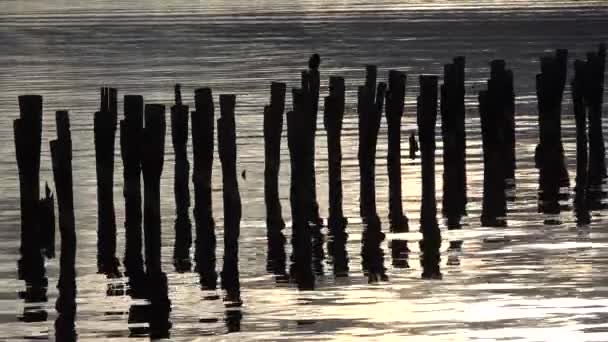 Patagonia. Chile. Sunset over Old Landing Stage in Puerto Natales. - Footage, Video