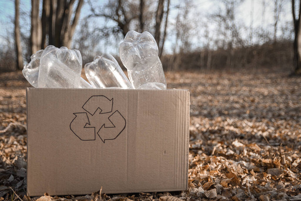Plastové láhve, odpadky jsou shromažďovány v krabici pro zpracování odpadu na dvoře - Fotografie, Obrázek