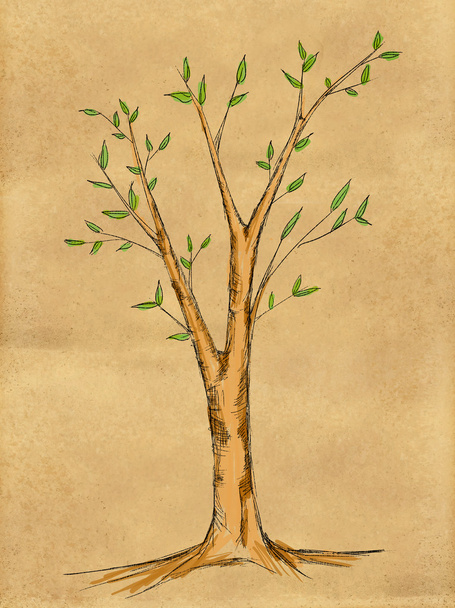 Branch Tree water color on Paper - Fotografie, Obrázek