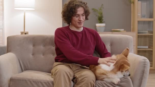 Medio lungo punto di vista di giovane felice uomo bianco riccio seduto sul divano a casa, parlando, guardando, agitando mano sulla macchina fotografica, accarezzando adorabile cane Pembroke Welsh Corgi - Filmati, video
