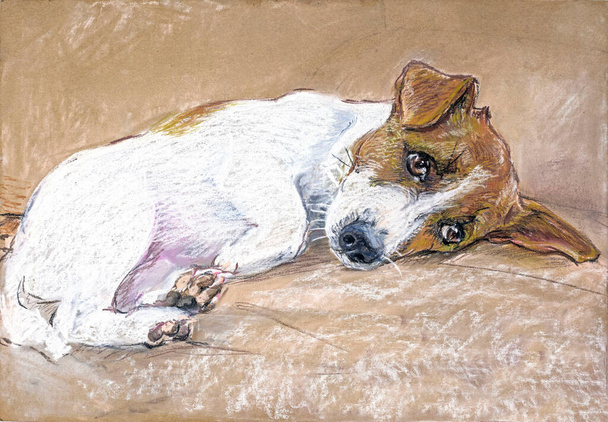 cute puppy jack russell terrier lying on the couch, hand made, illustration, - Photo, Image